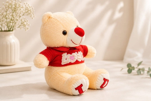 LOVE T-SHIRT TEDDY SOFT TOY | GIFT FOR BOYS AND GIRLS