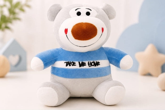 Premium Teddy Bear Soft Toy with Take Me Home Design