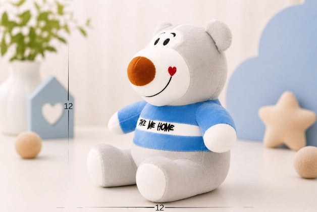 Premium Teddy Bear Soft Toy with Take Me Home Design