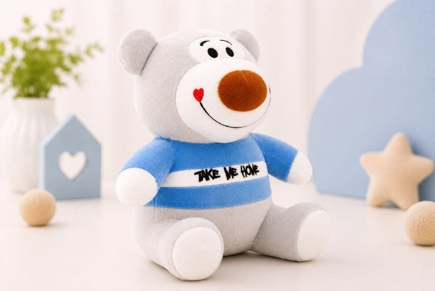 Premium Teddy Bear Soft Toy with Take Me Home Design