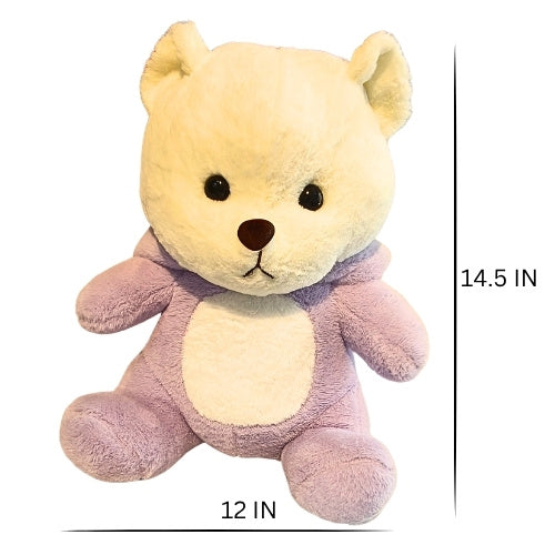 Cute Teddy Plush Soft Toy with Hoodie – Premium Stuffed Toy for Kids