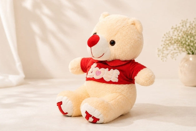 LOVE T-SHIRT TEDDY SOFT TOY | GIFT FOR BOYS AND GIRLS