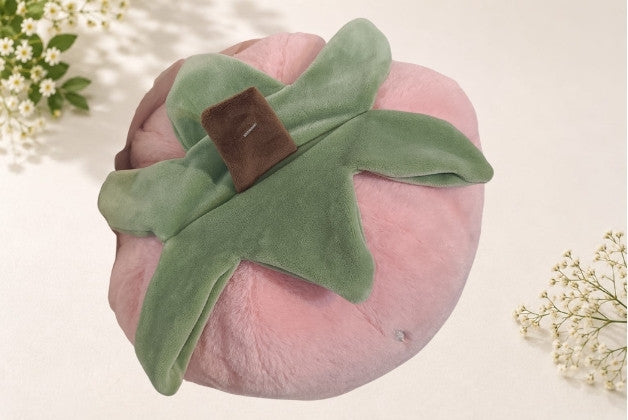 STRAWBERRY PLUSH PILLOW SOFT FRUIT TOY | GIFT FOR BOYS AND GIRLS