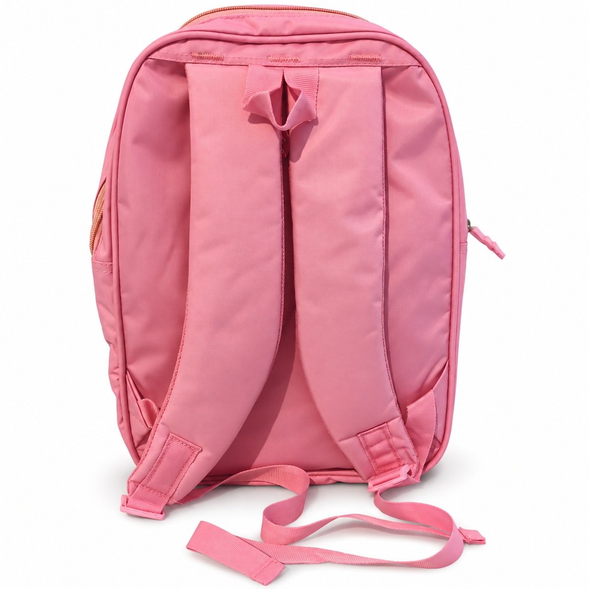 3D Frozen Theme School Backpack | Spacious Lightweight Bag with Bottle Pocket